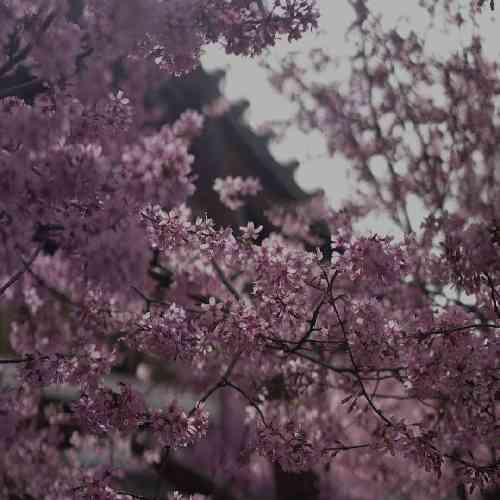 مصطفی ابراهیمی شاه نشین قلبم دلمو دادم به تو که نذاری تو تنهاش